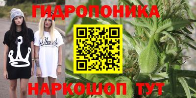 ECSTASY Можайск
