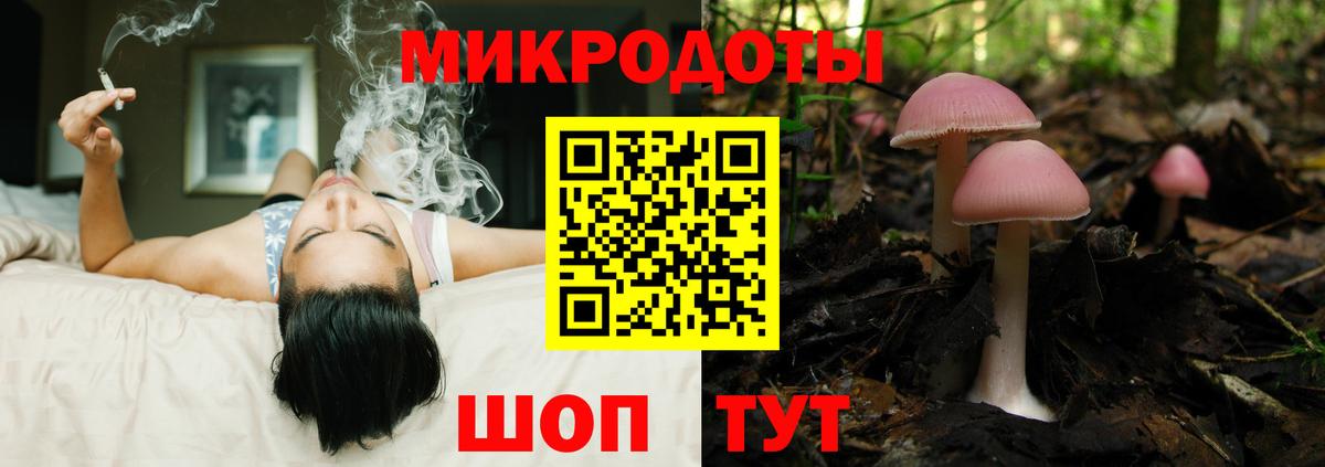 Галлюциногенные грибы Magic Shrooms  Вход с VPN  Чернушка 